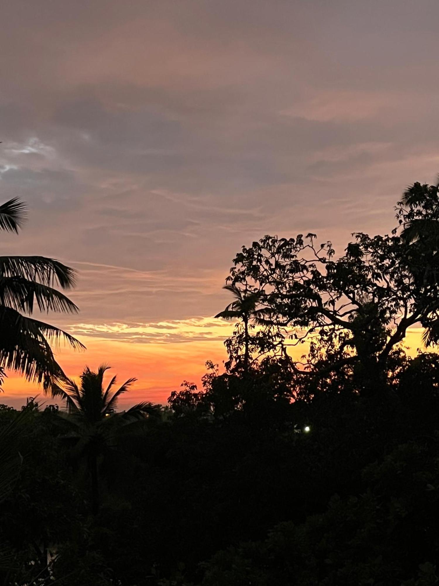 Green Nest Hostel, Baga- North Goa ארפורה מראה חיצוני תמונה