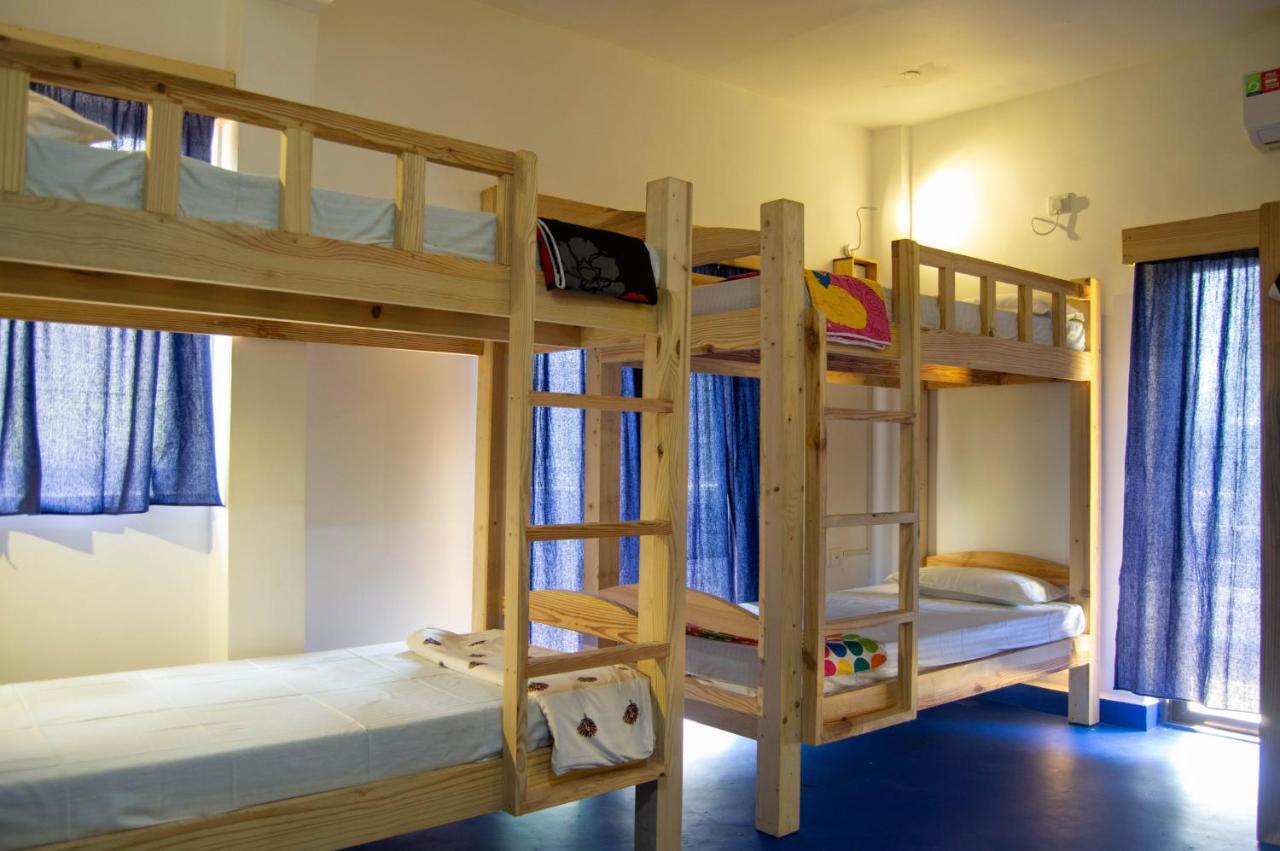 Green Nest Hostel, Baga- North Goa ארפורה מראה חיצוני תמונה